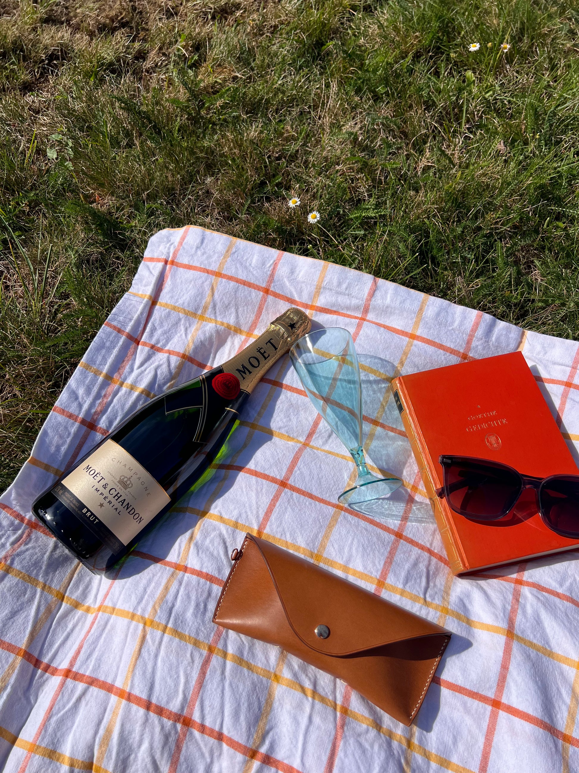 Snap Eyewear Case - Camel